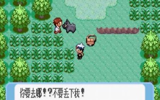 口袋妖怪蓝版本：口袋妖怪蓝版本特点
