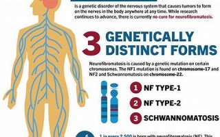 NFC软件应用：NFC软件应用大全