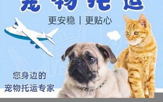 宠物托运服务推荐