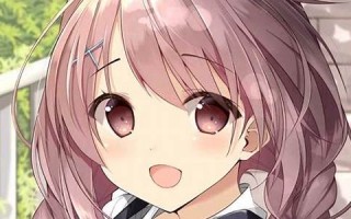ACG里番本子库下载及使用