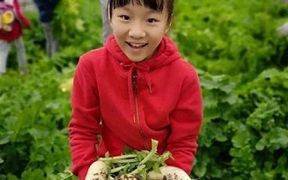 果蔬乐园：快乐种植与美味收获(果蔬庄园饮料)