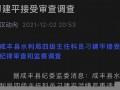 AO什么意思？了解这个平台背后的意义与文化影响(ao是什么意思中文翻译)